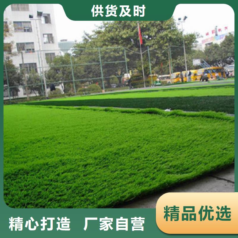 人造草坪混合型塑胶跑道诚信经营现货现发