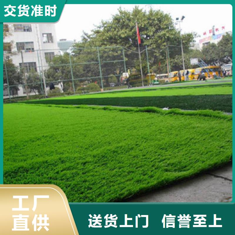 人造草坪_硅PU球场品质可靠