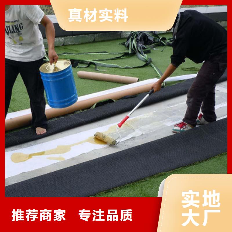 人造草坪【硅PU球场】懂您所需