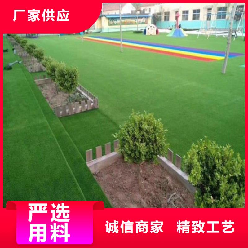 人造草坪_硅PU球場專業設計