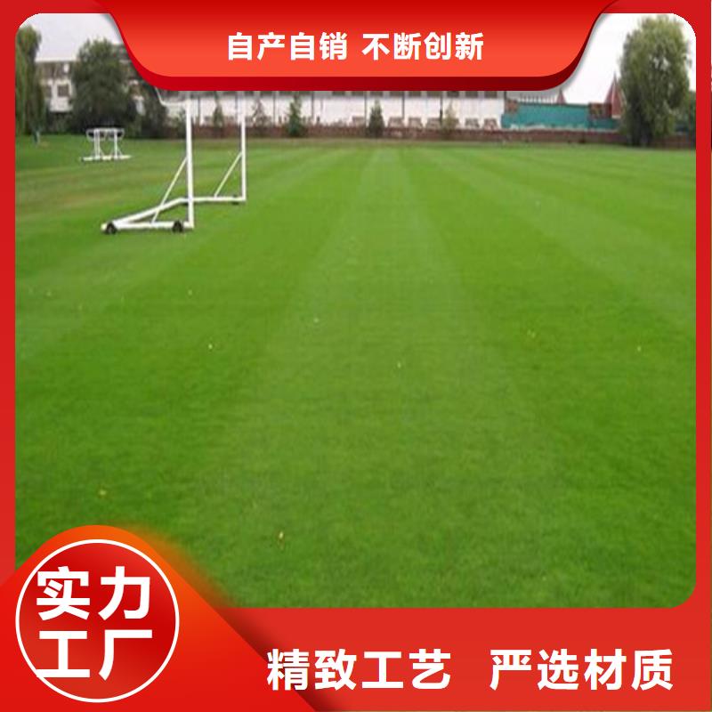 寧遠幼兒園仿真草坪來電咨詢