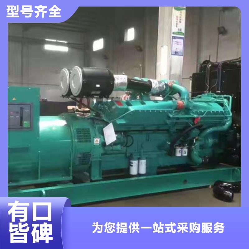 漠河進(jìn)口發(fā)電機(jī)租賃量身打造