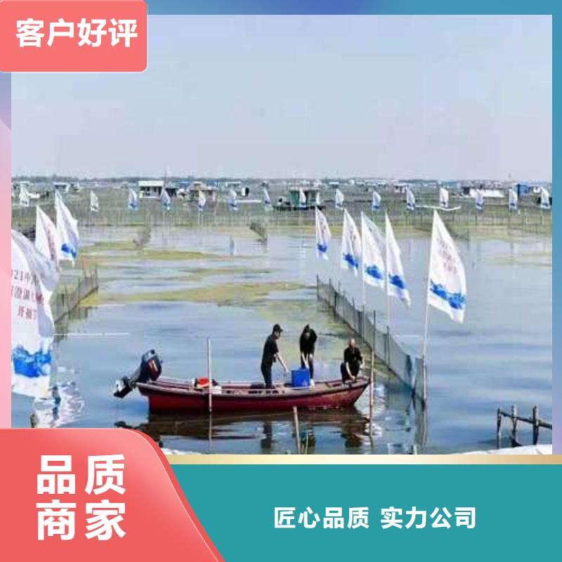 阳澄湖大闸蟹养殖基地