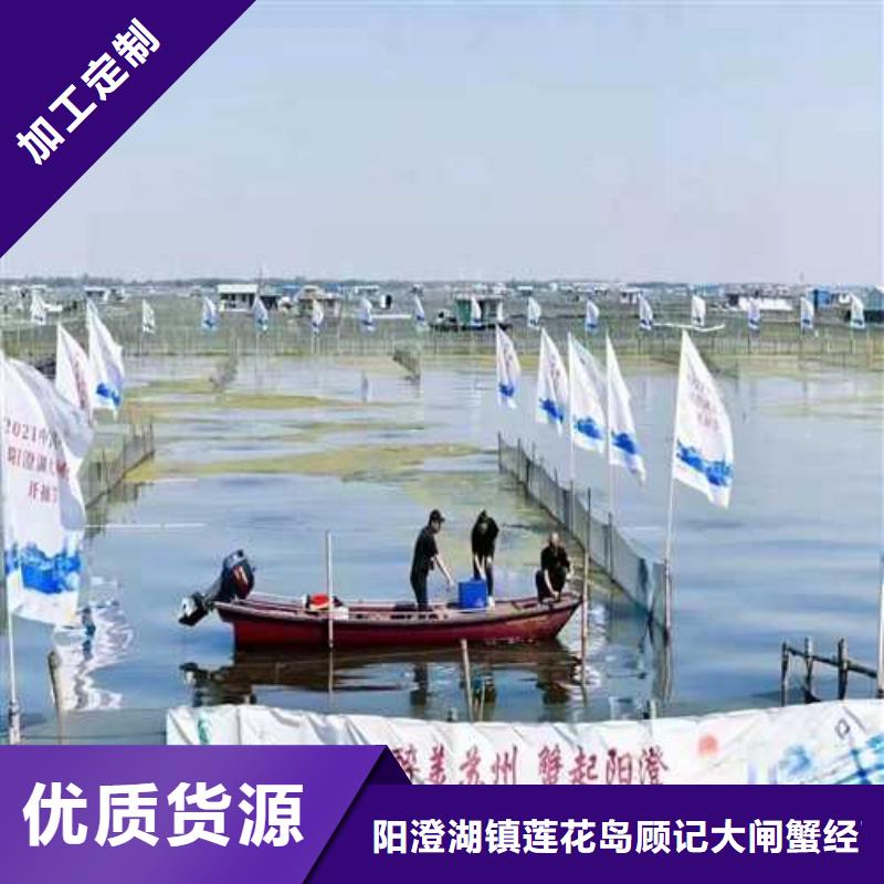 阳澄湖大闸蟹厂家实地货源