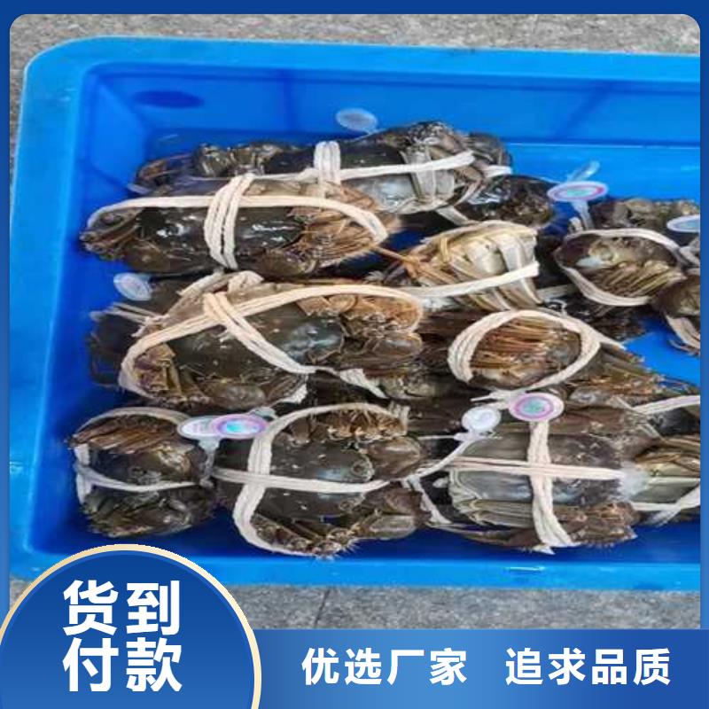 采购大闸蟹_认准阳澄湖镇莲花岛顾记大闸蟹经营部_值得信赖