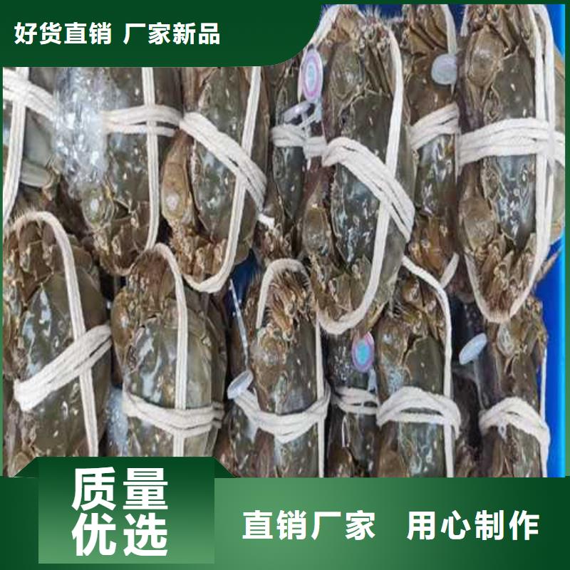 阳澄湖大闸蟹品质高于同行