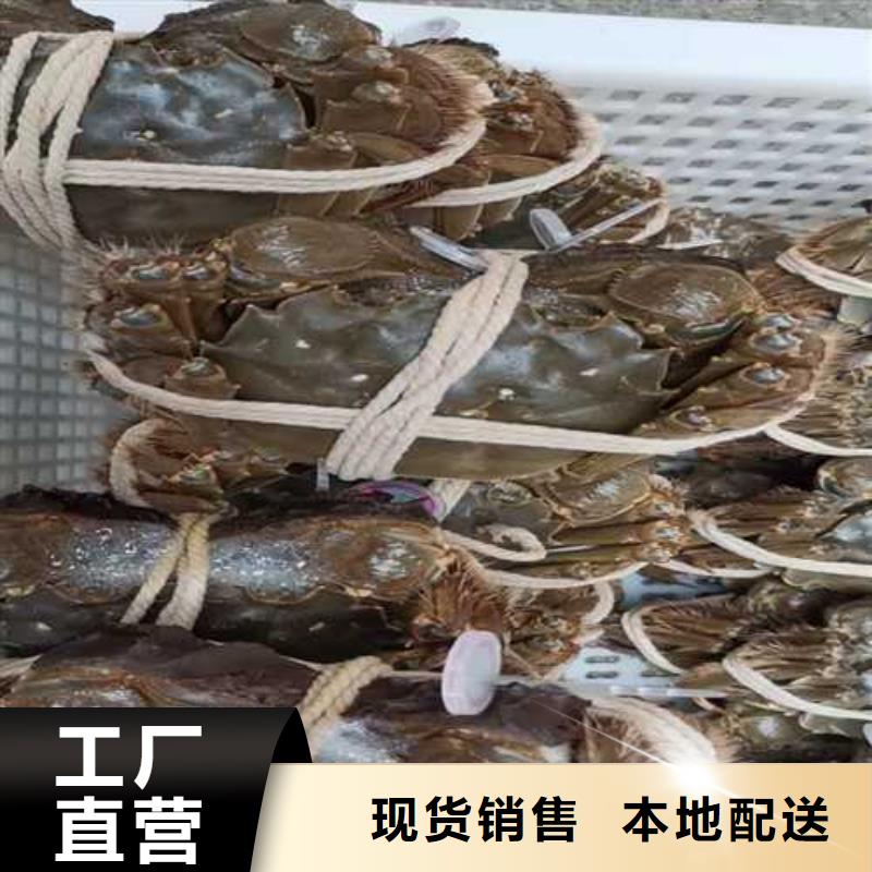 阳澄湖大闸蟹来图来样定制