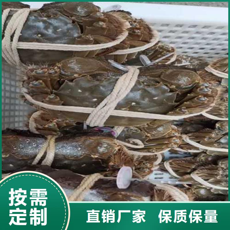 琼海市苏州阳澄湖农家乐那家实惠味道好