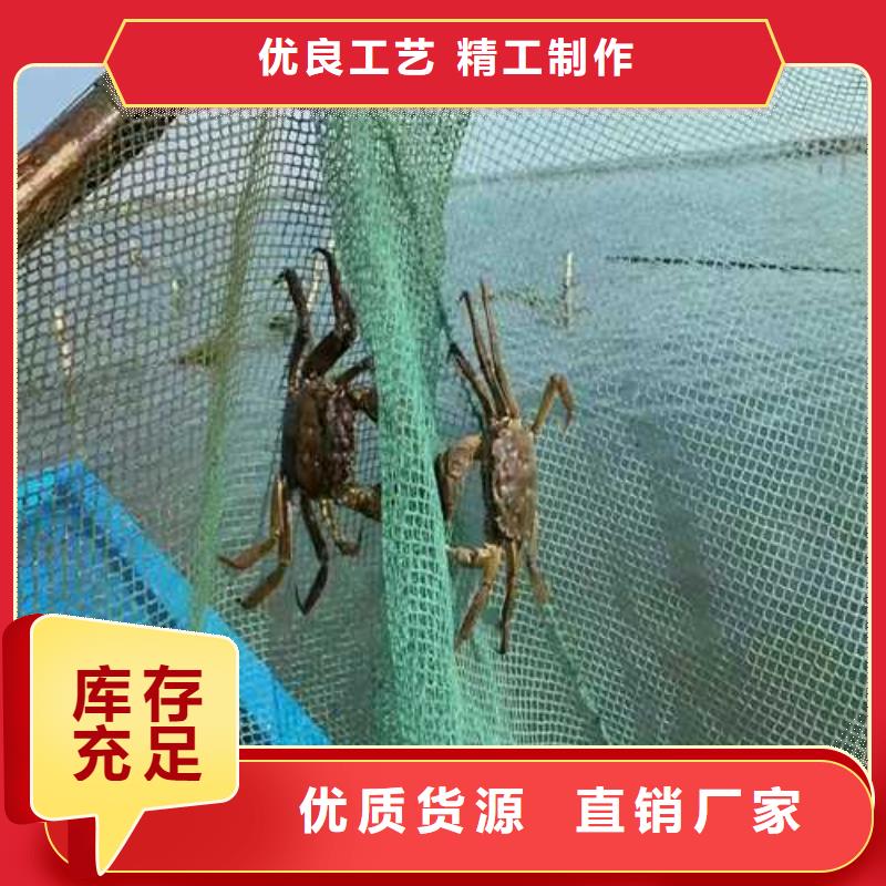 螃蟹选择我们明智