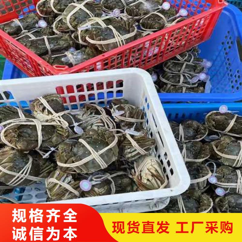 苏州阳澄湖农家乐哪家品质好好吃