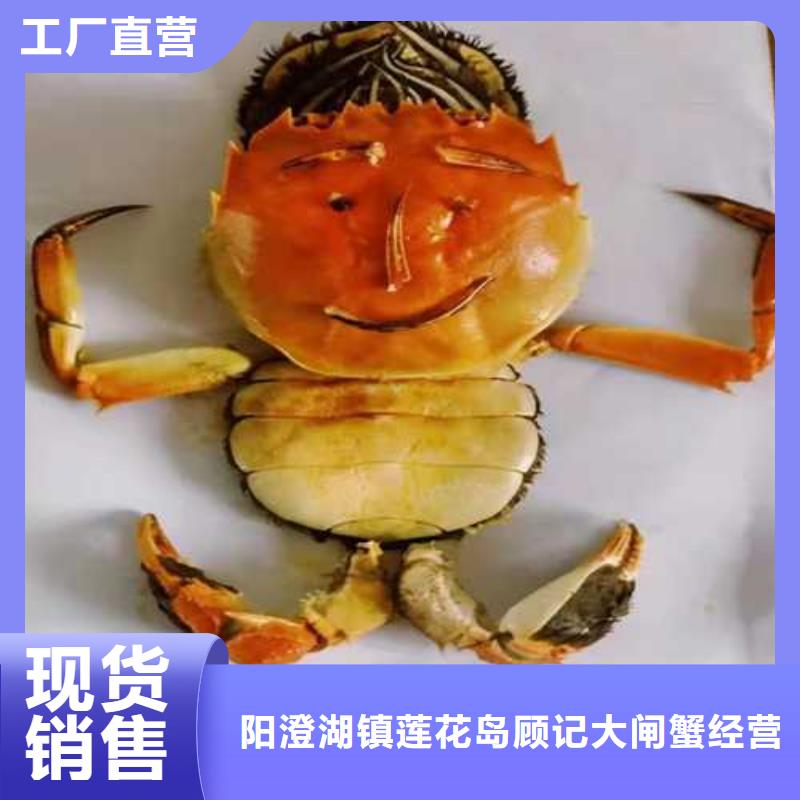 阳澄湖大闸蟹精品团购