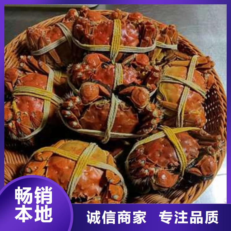 價格合理的陽澄湖大閘蟹生產廠家