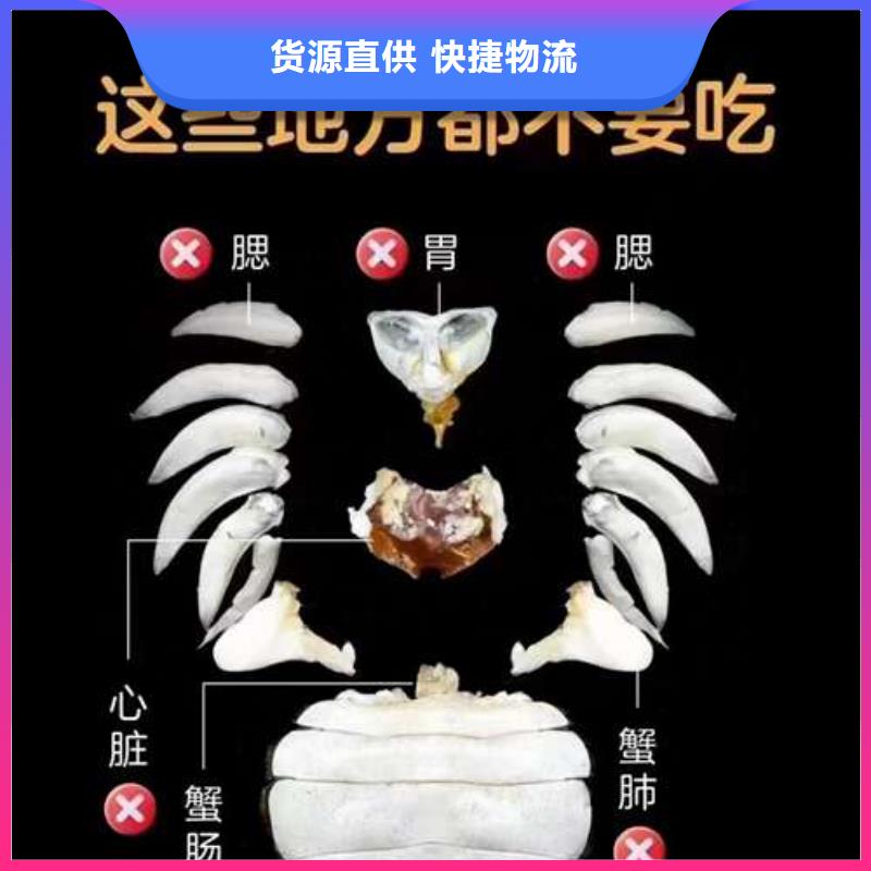陽澄湖大閘蟹_我們是廠家