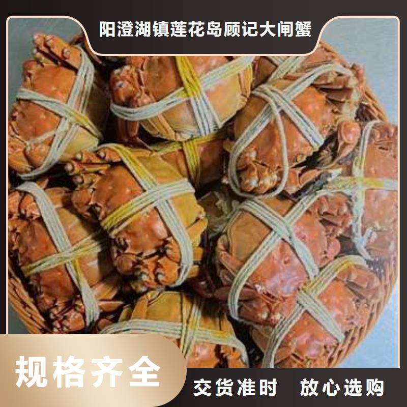 優質陽澄湖大閘蟹的公司