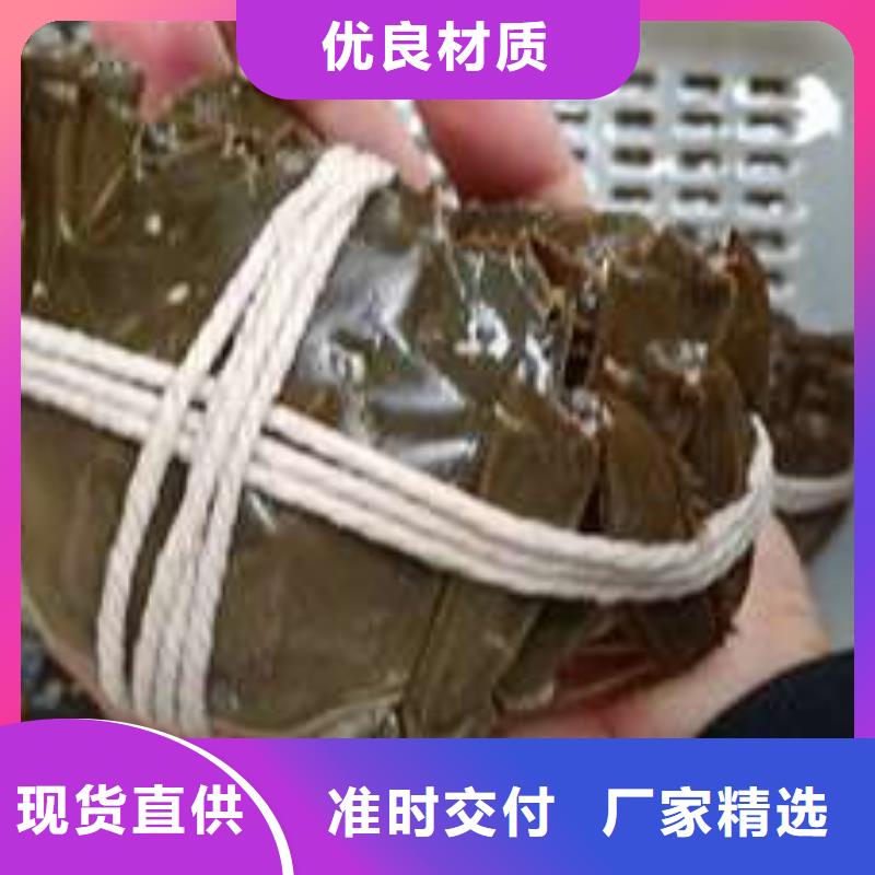 加工定制陽澄湖大閘蟹