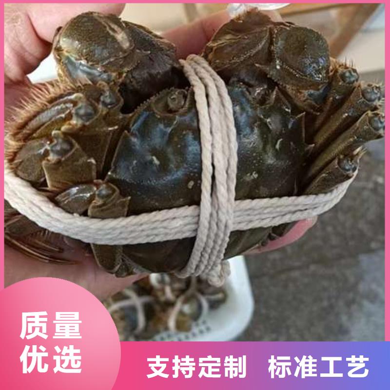 支持定制的阳澄湖大闸蟹销售厂家