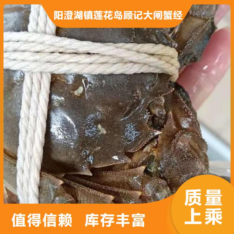 阳澄湖大闸蟹_我们是厂家