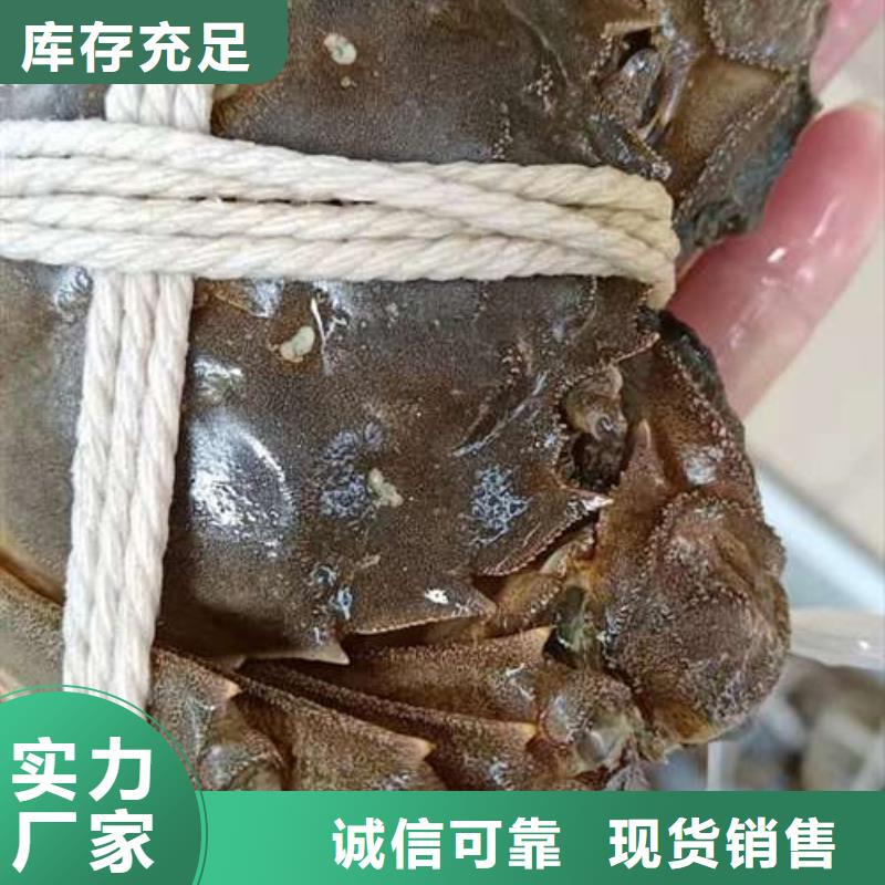 阳澄湖大闸蟹批发定制