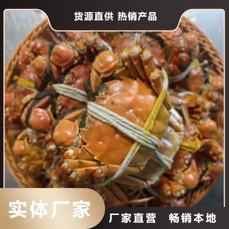 潮州市大閘蟹銷售