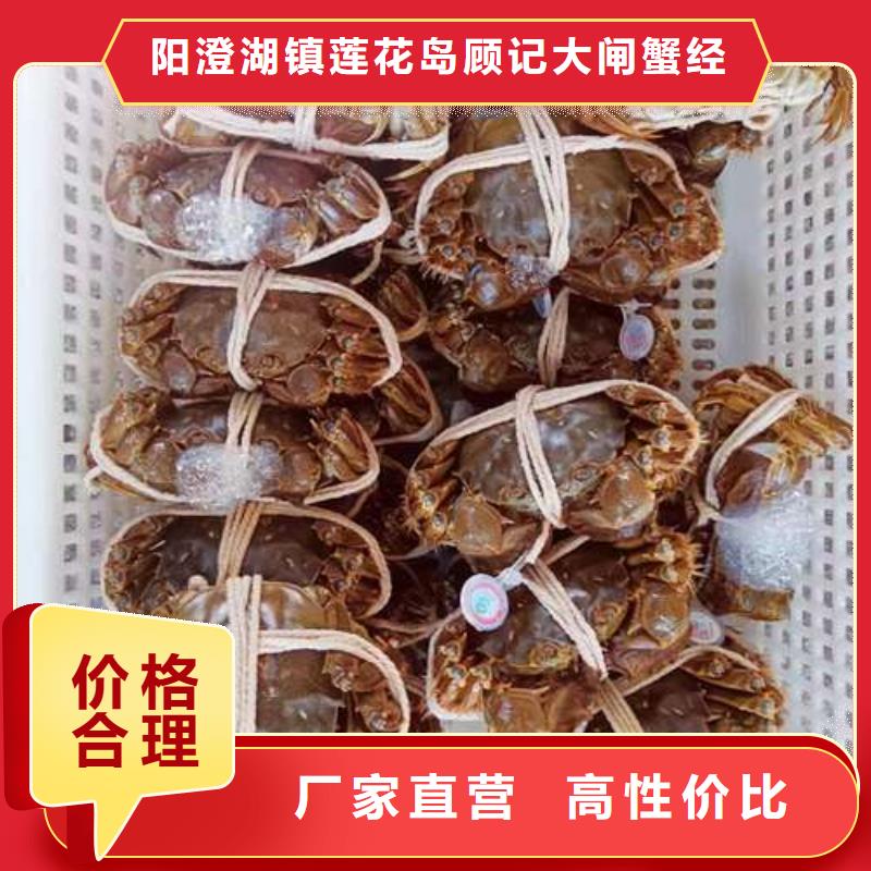供應(yīng)陽澄湖大閘蟹的當(dāng)?shù)貜S家