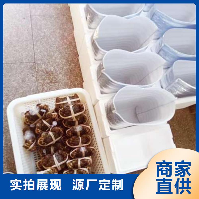 价格低的阳澄湖大闸蟹品牌厂家