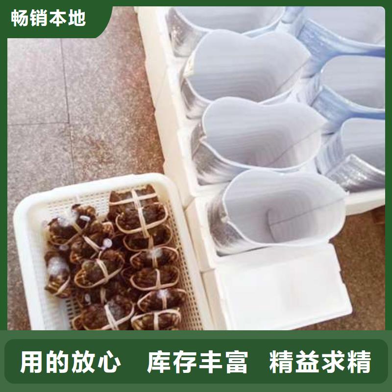 阳澄湖大闸蟹价格从优