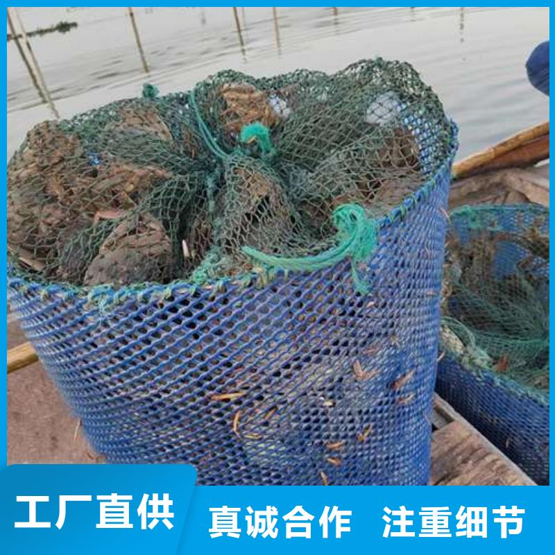 阳澄湖大闸蟹保质保量