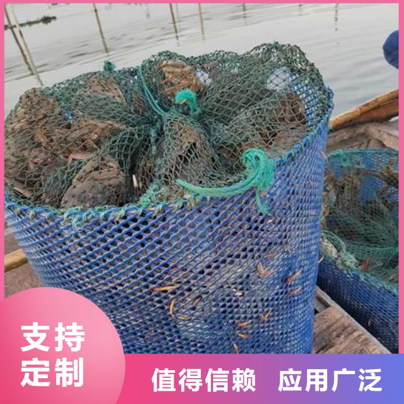 质优价廉的阳澄湖大闸蟹生产厂家