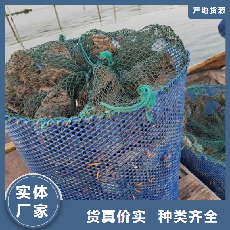 阳澄湖大闸蟹行情