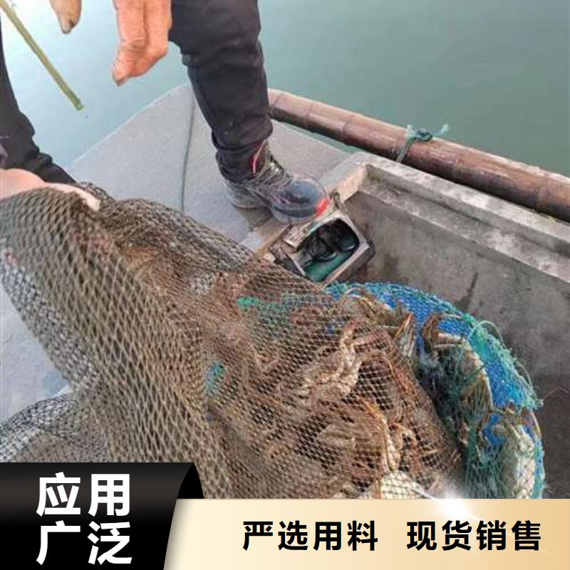 推荐：阳澄湖大闸蟹厂家批发