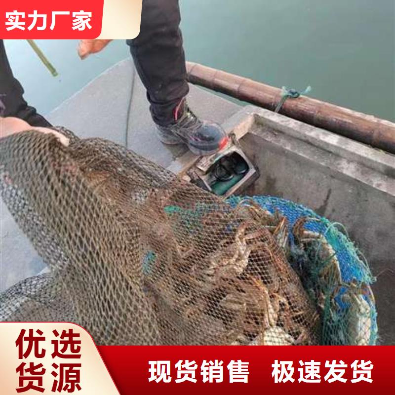 陽澄湖大閘蟹口碑良好