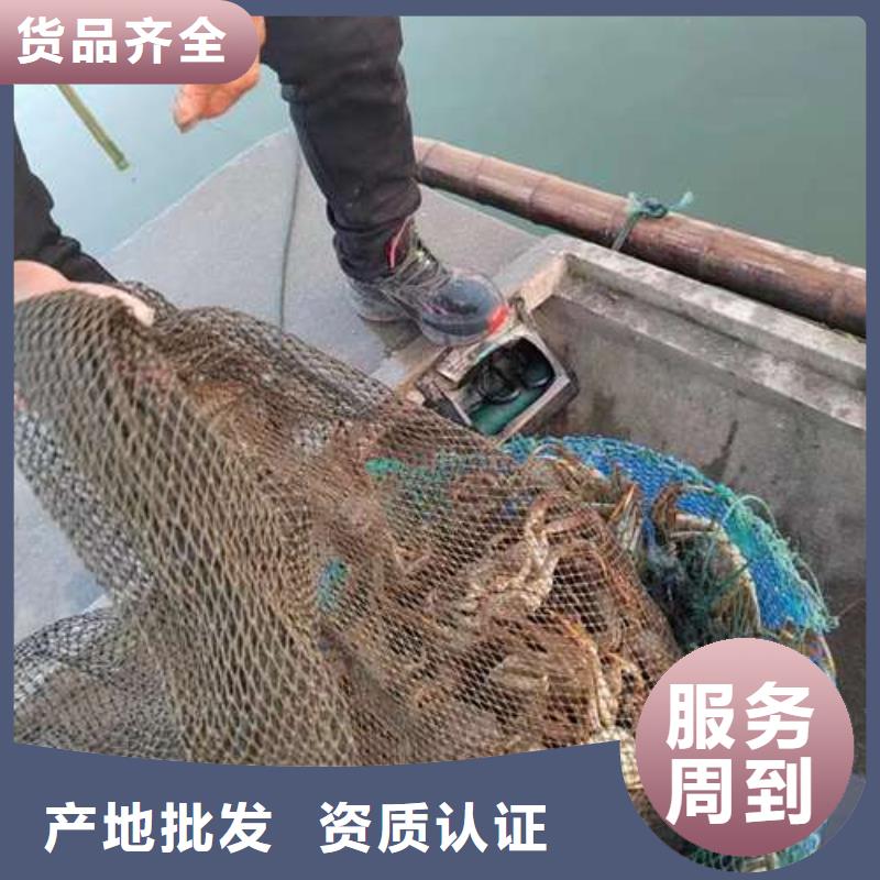 阳澄湖大闸蟹厂家口碑好