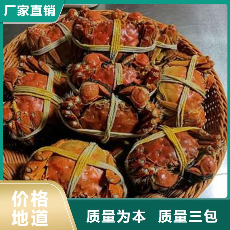 陽澄湖大閘蟹規格齊全的廠家