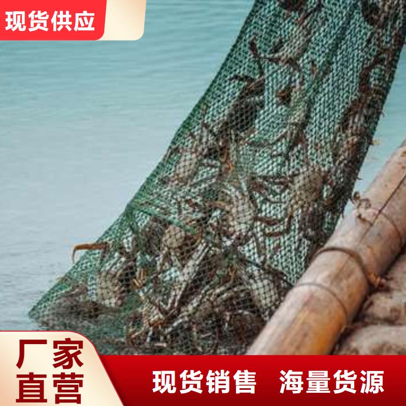陽澄湖大閘蟹現(xiàn)貨直供價(jià)格優(yōu)