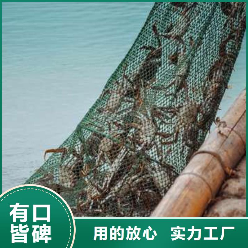 值得信賴的陽澄湖大閘蟹生產(chǎn)廠家