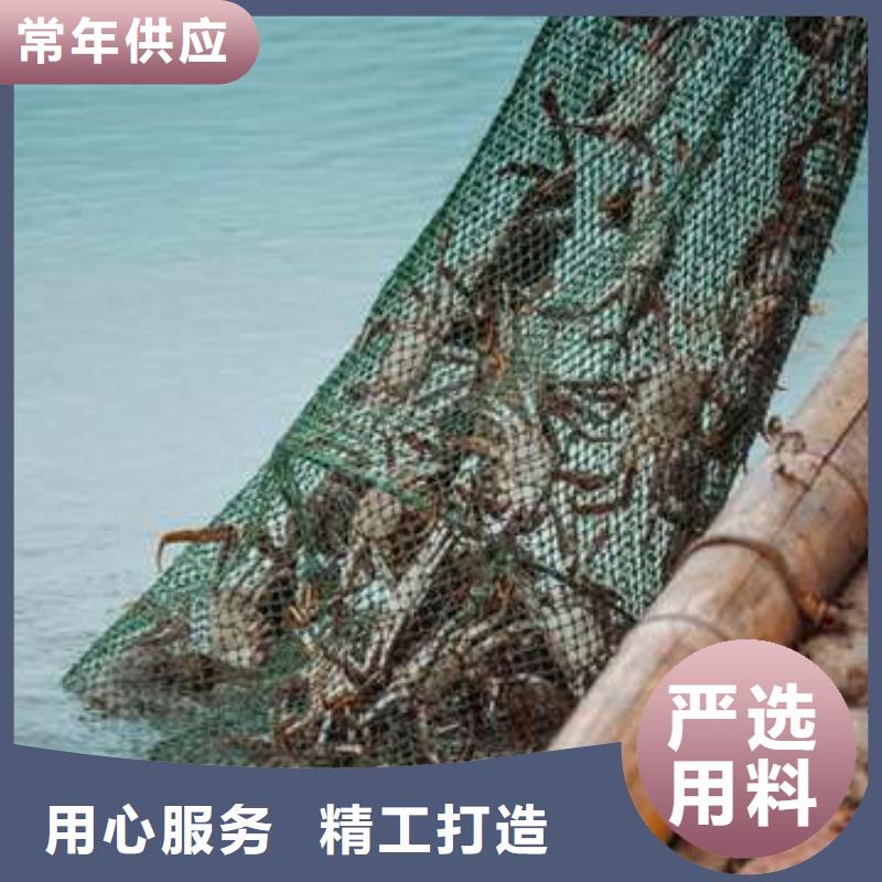 陽澄湖大閘蟹材質
