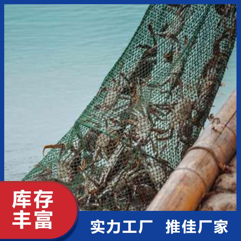 價格合理的陽澄湖大閘蟹生產廠家