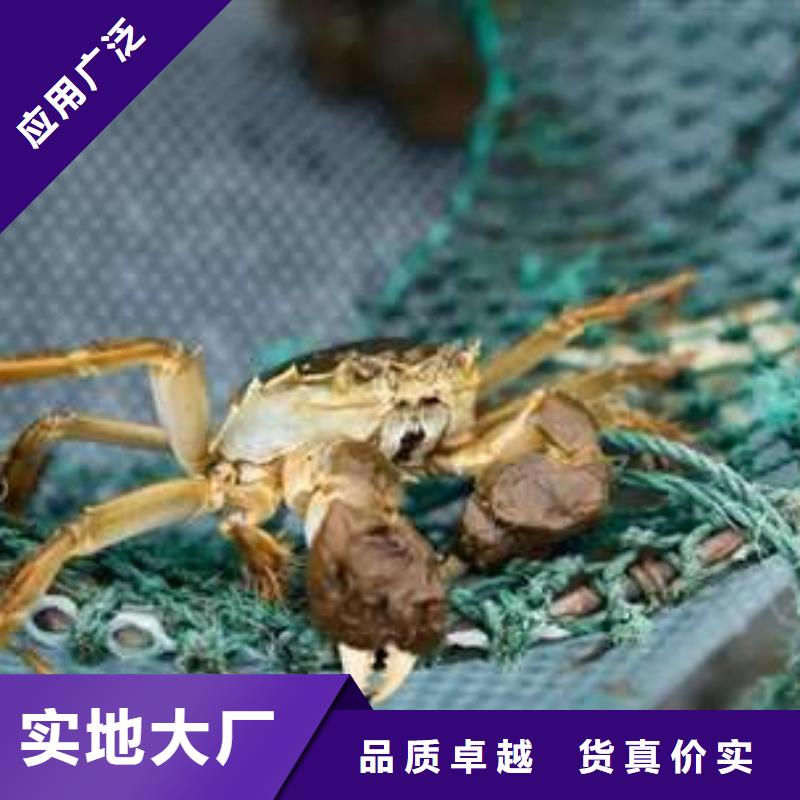 阳澄湖大闸蟹品牌企业