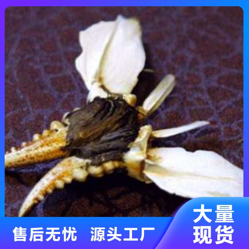 汕尾市陽(yáng)澄湖大閘蟹鮮活特大