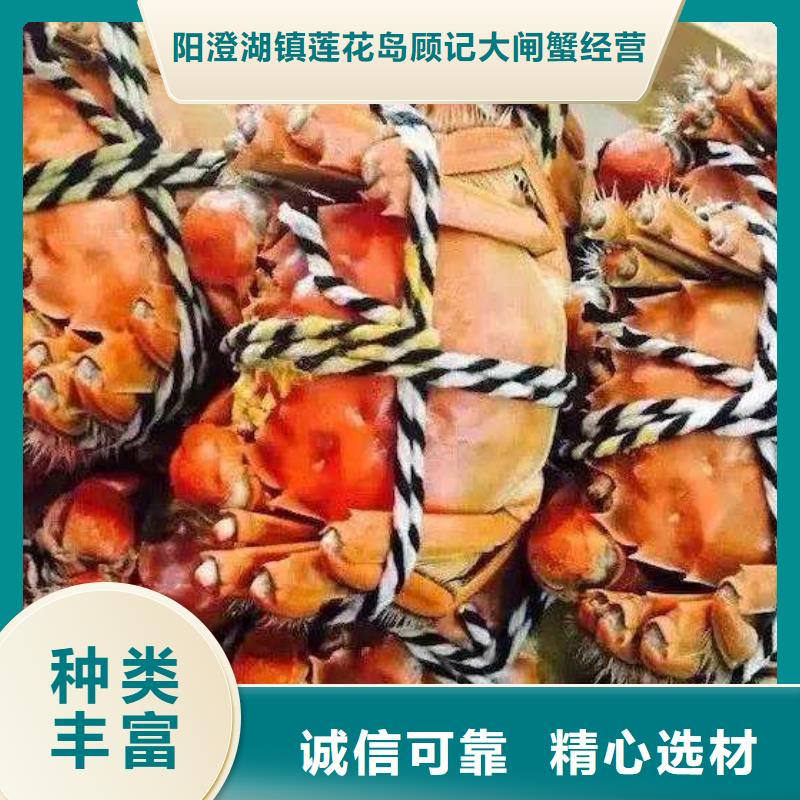陽澄湖大閘蟹大品牌有保證