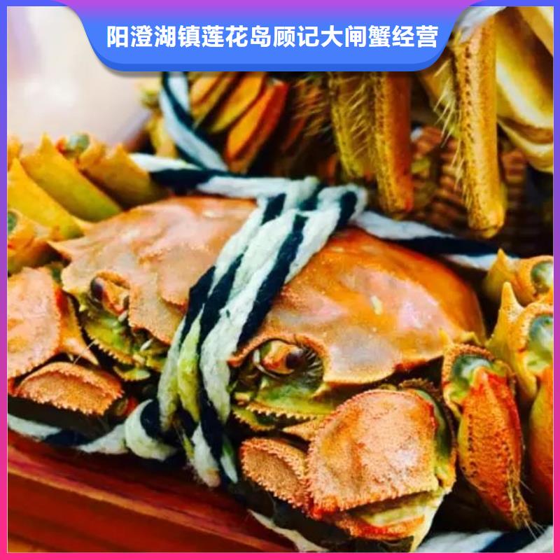 新產品：陽澄湖大閘蟹采購