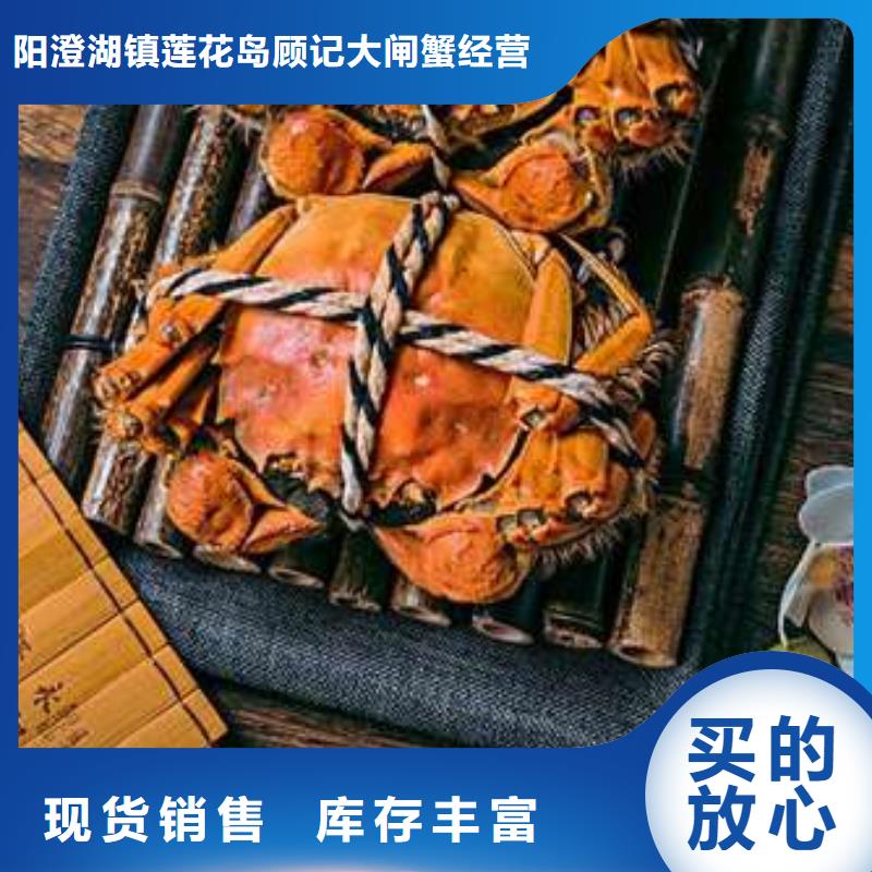 潮州市紅膏大閘蟹專賣點