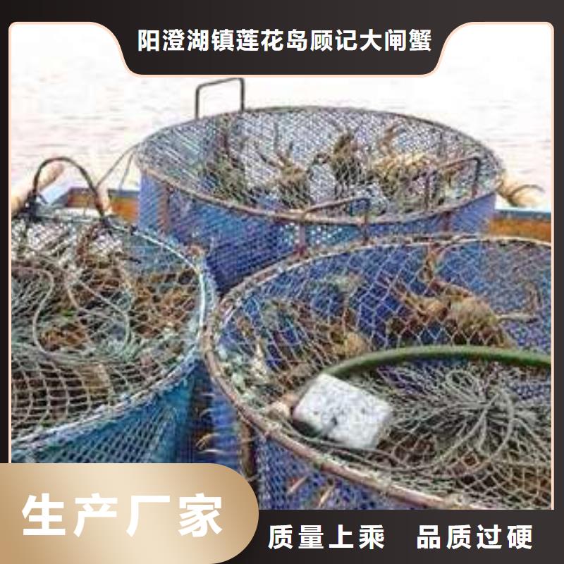 靠譜的陽澄湖大閘蟹廠家