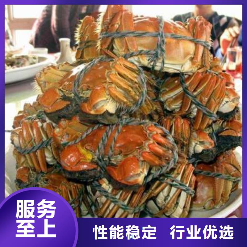 河源市紅膏大閘蟹陽澄湖原產地