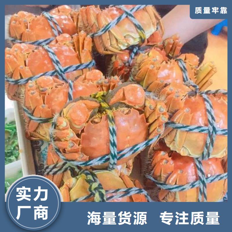 陽澄湖大閘蟹就選陽澄湖鎮(zhèn)蓮花島顧記大閘蟹經(jīng)營部