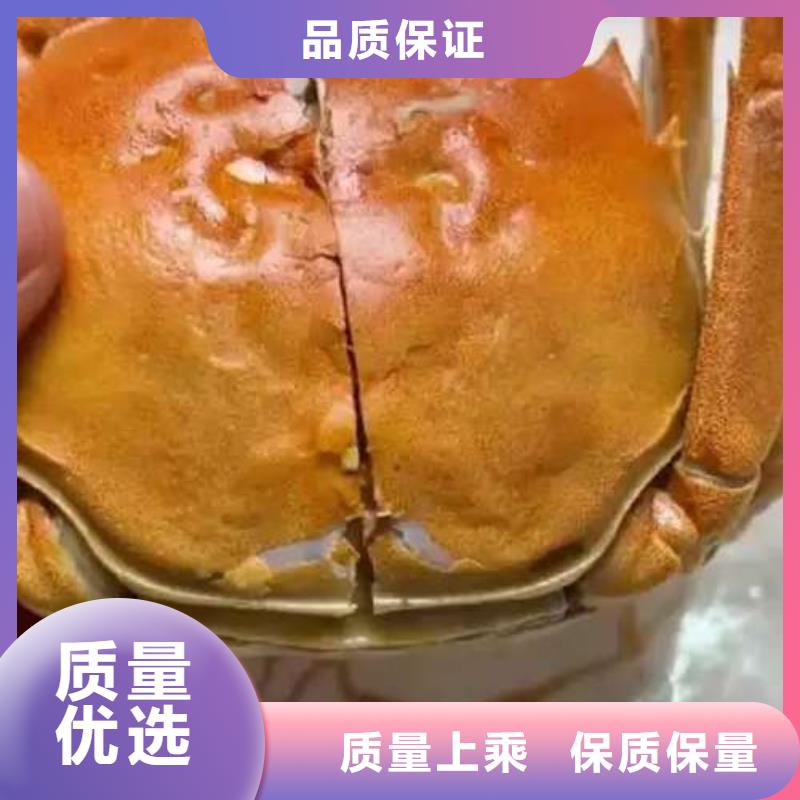 定做阳澄湖大闸蟹的经销商