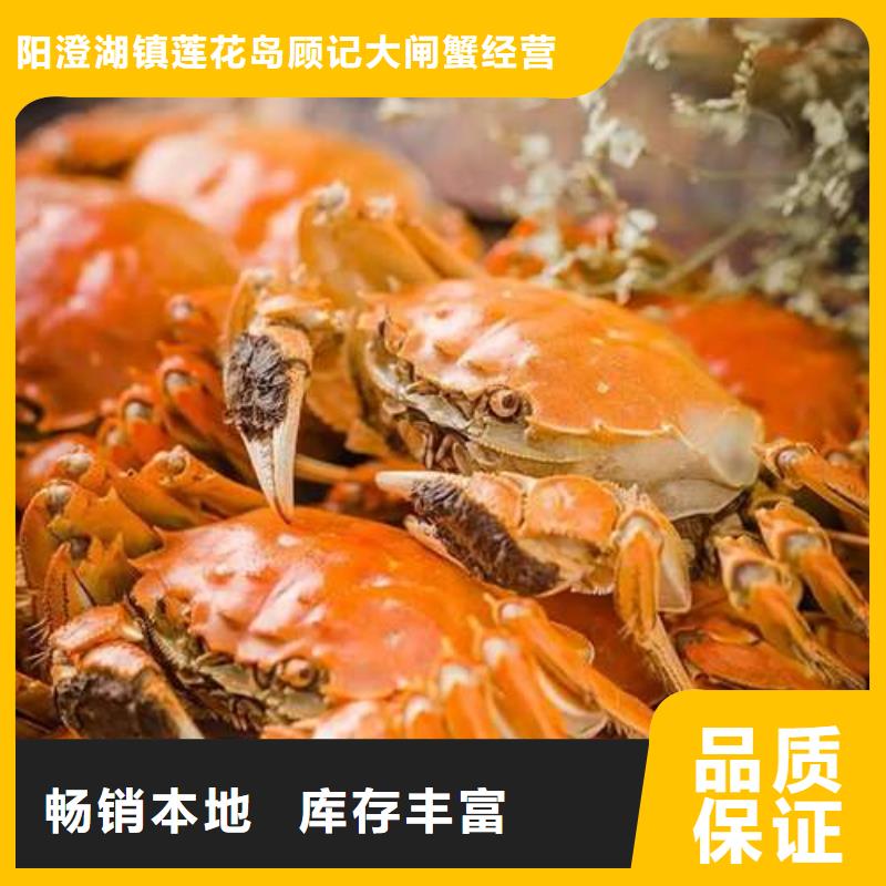 支持定制的陽澄湖大閘蟹銷售廠家