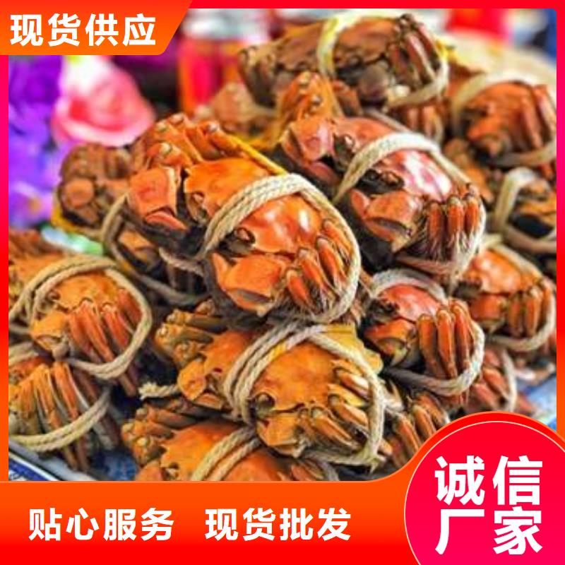 汕尾市今天的螃蟹一斤幾個
