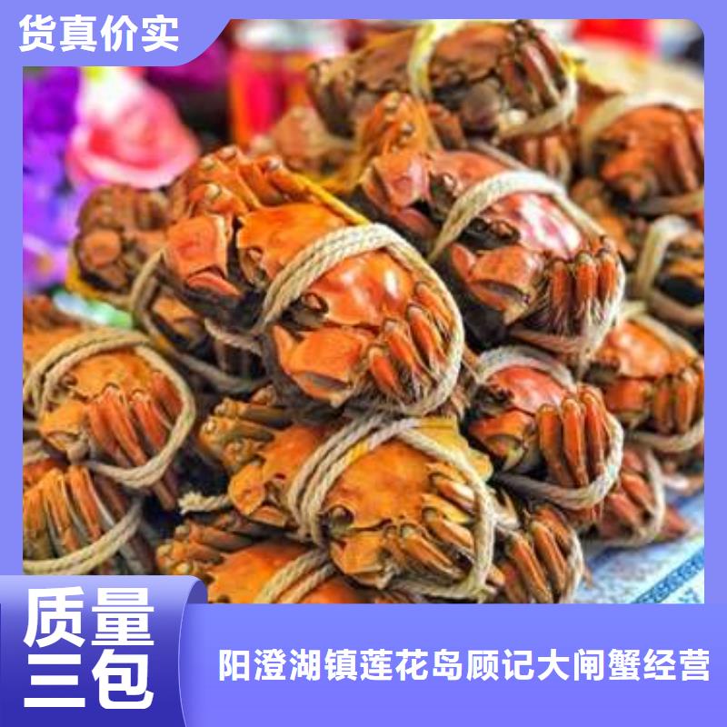 陽澄湖大閘蟹-來電訂購
