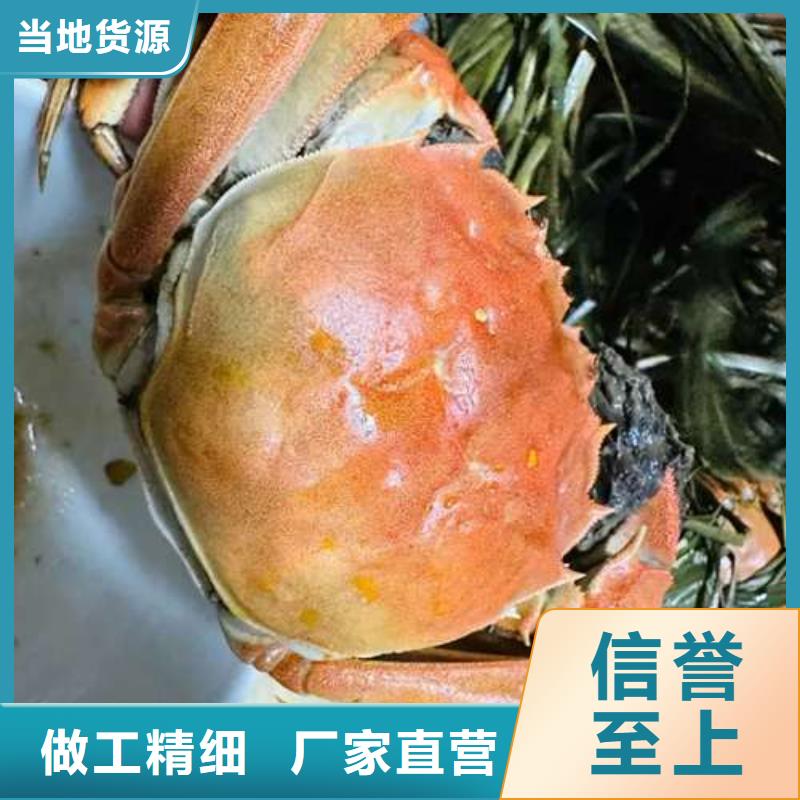 陽澄湖大閘蟹大品牌有保證